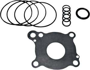 Oil Pump Rebuild Kit