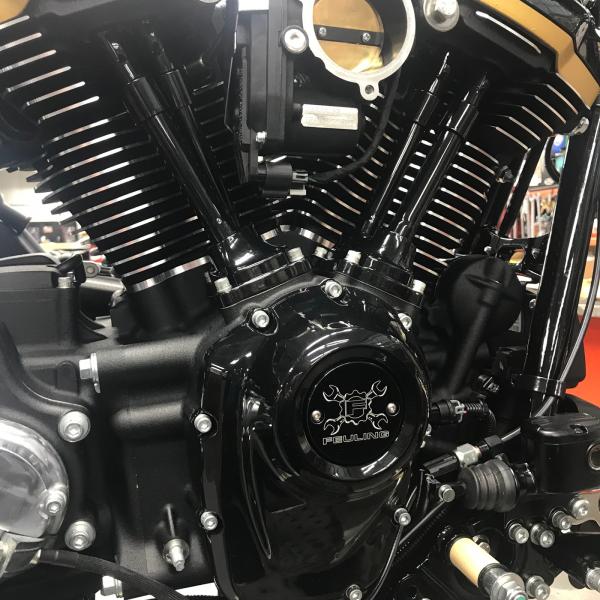 Zoom Image